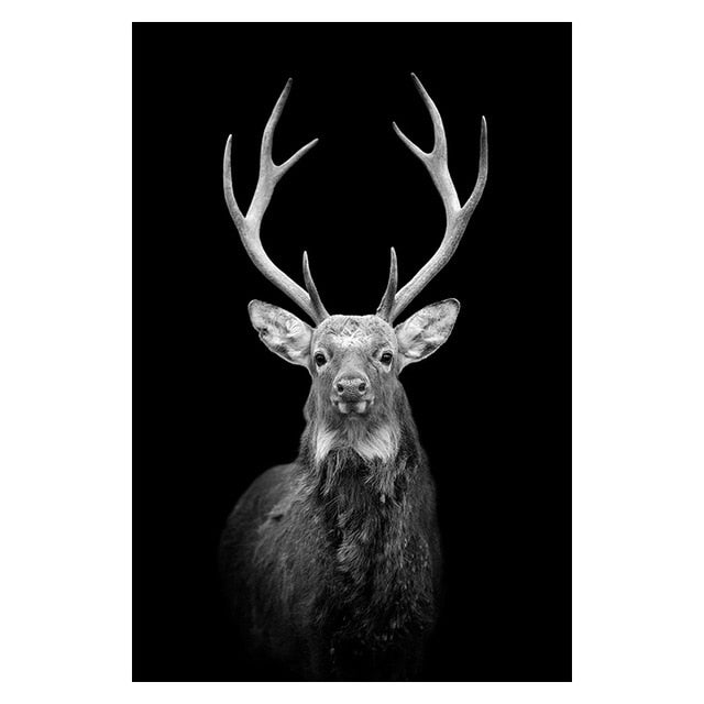 Canvas Painting Animal Wall Art Lion Elephant Deer Zebra Posters and Prints Wall Pictures for Living Room Decoration Home Decor